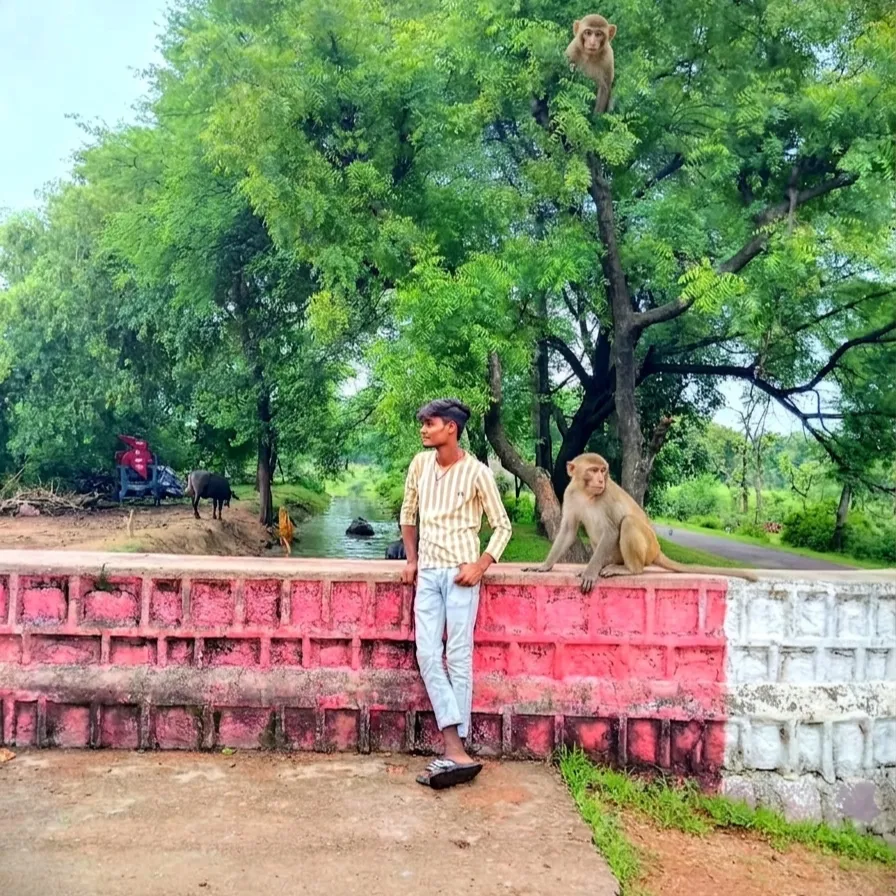 Dharmendra Kushwaha