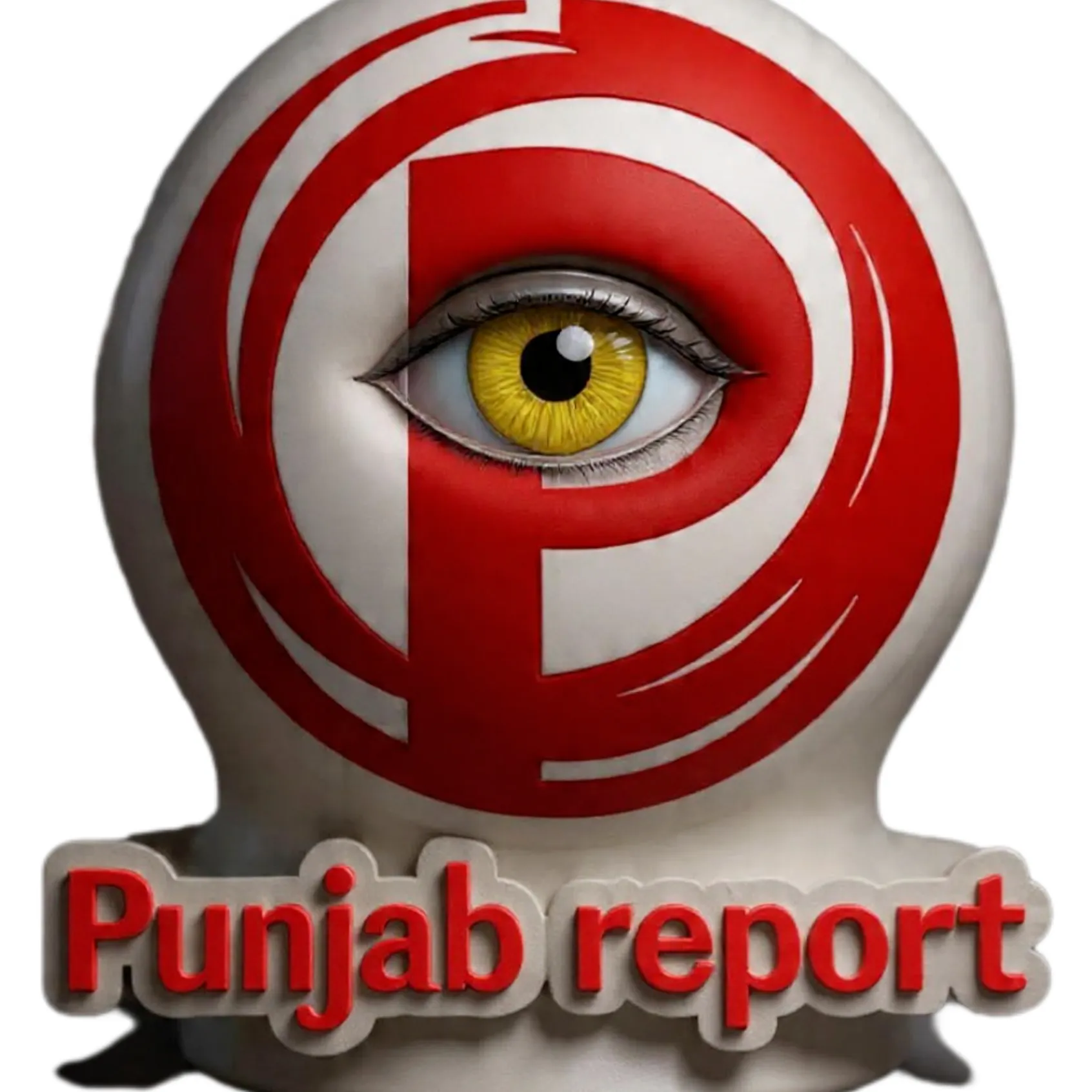 Punjab Report