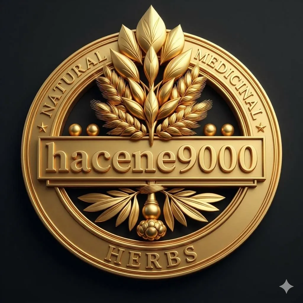 hacene lilyan