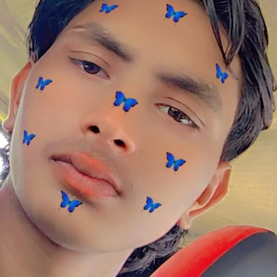 Kittu Vaema