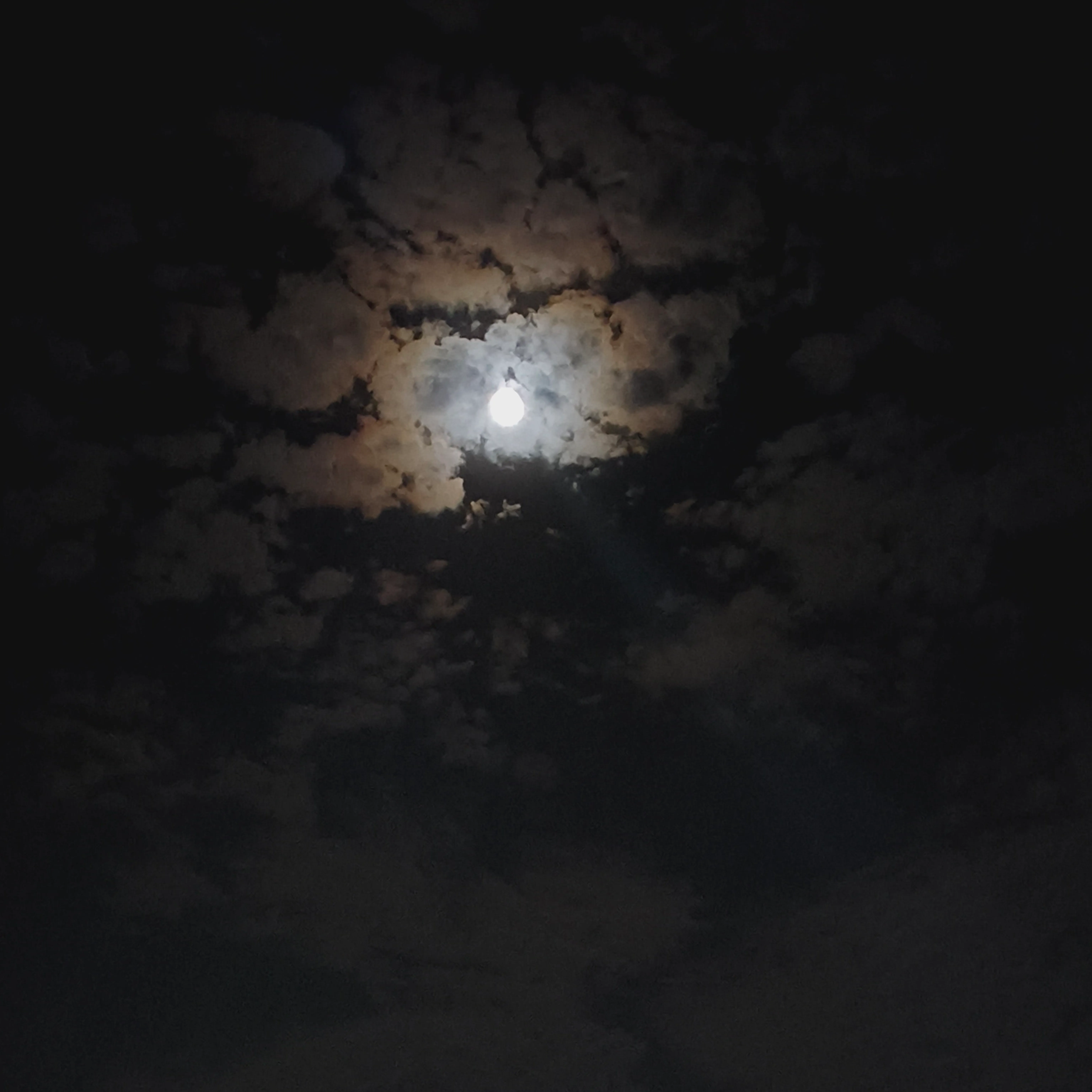 moon Ai
