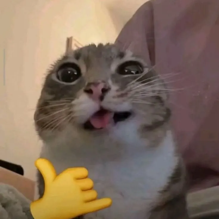 Memeholic !