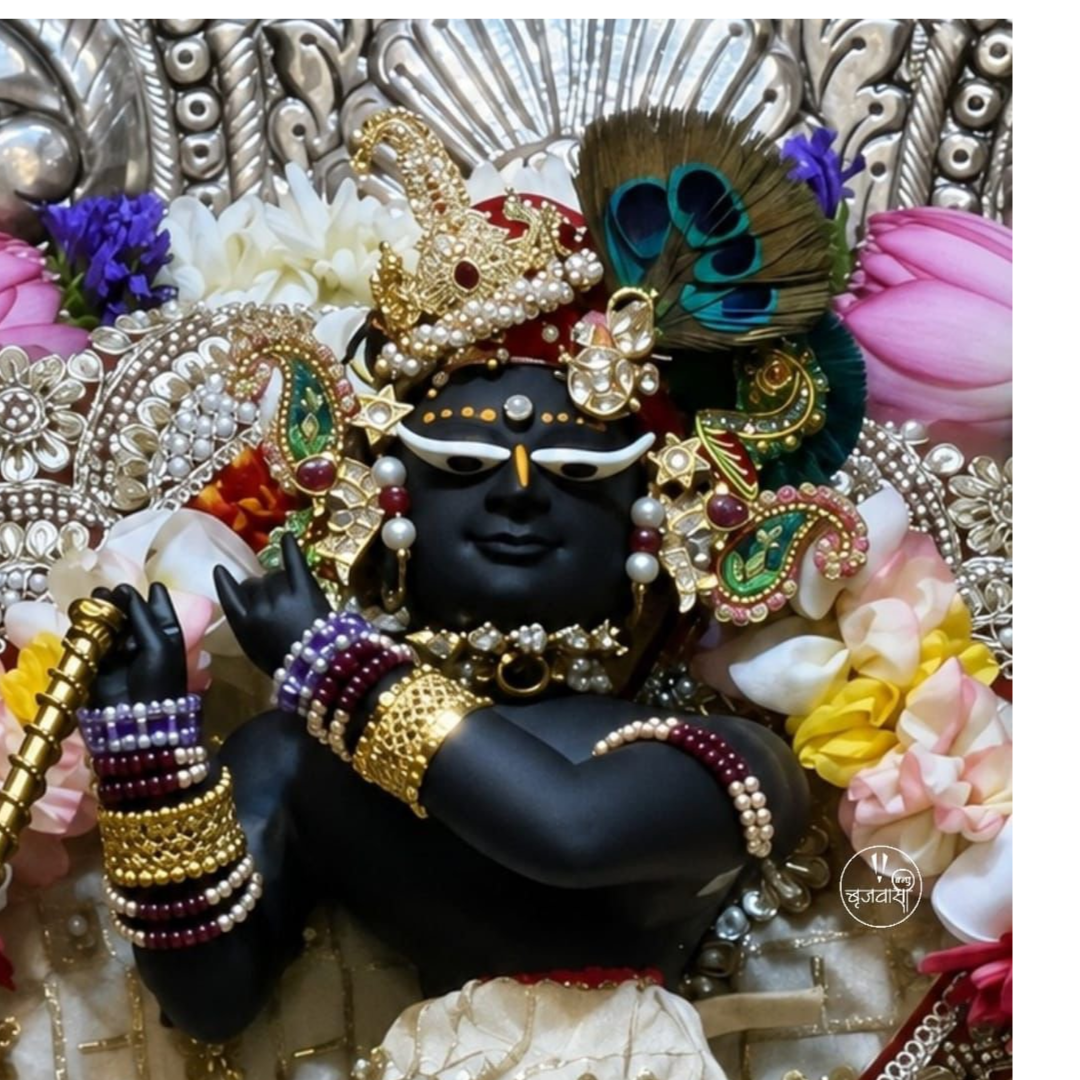 Bhagatshingh Meena