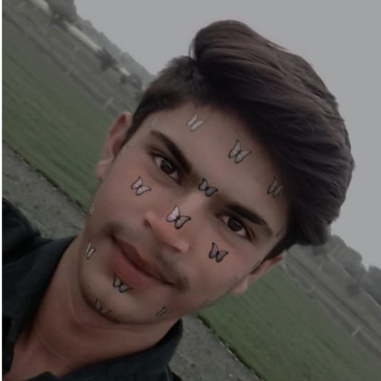himanshu Meena