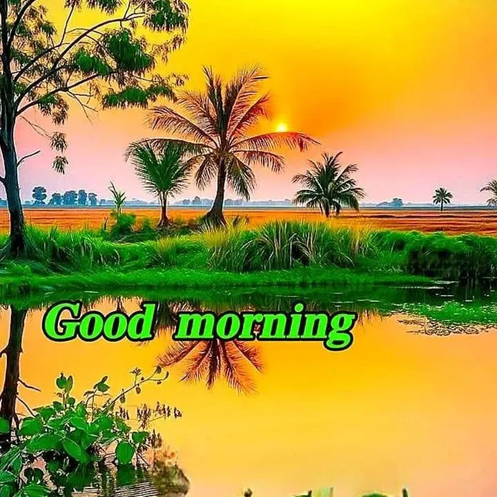 vipin k
