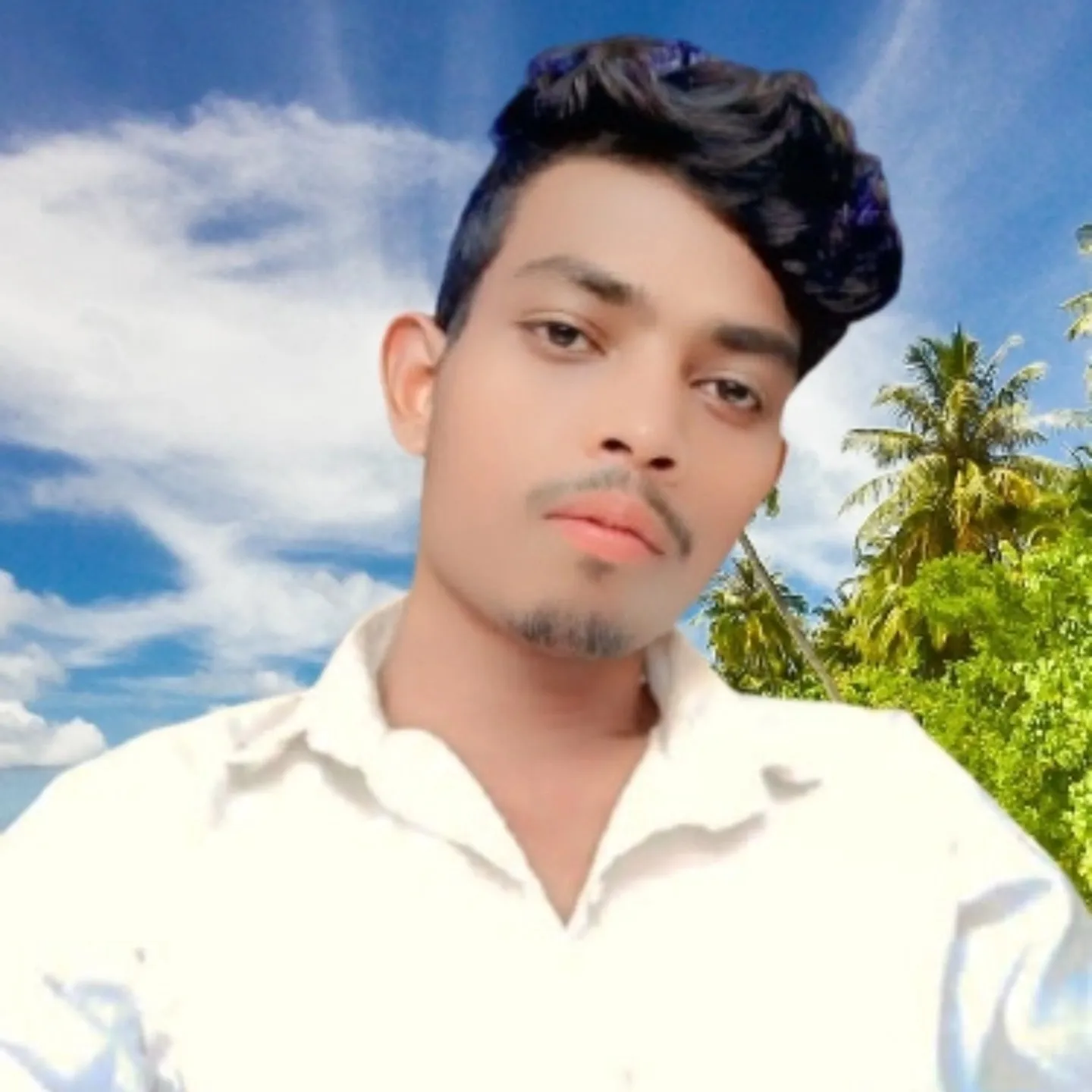 D Comedy