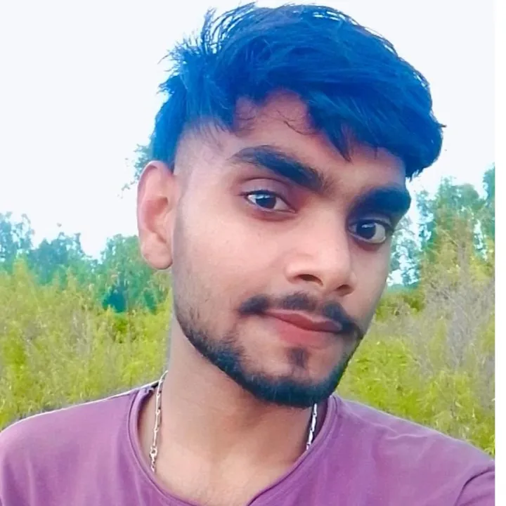 Er.Vishnu jatav