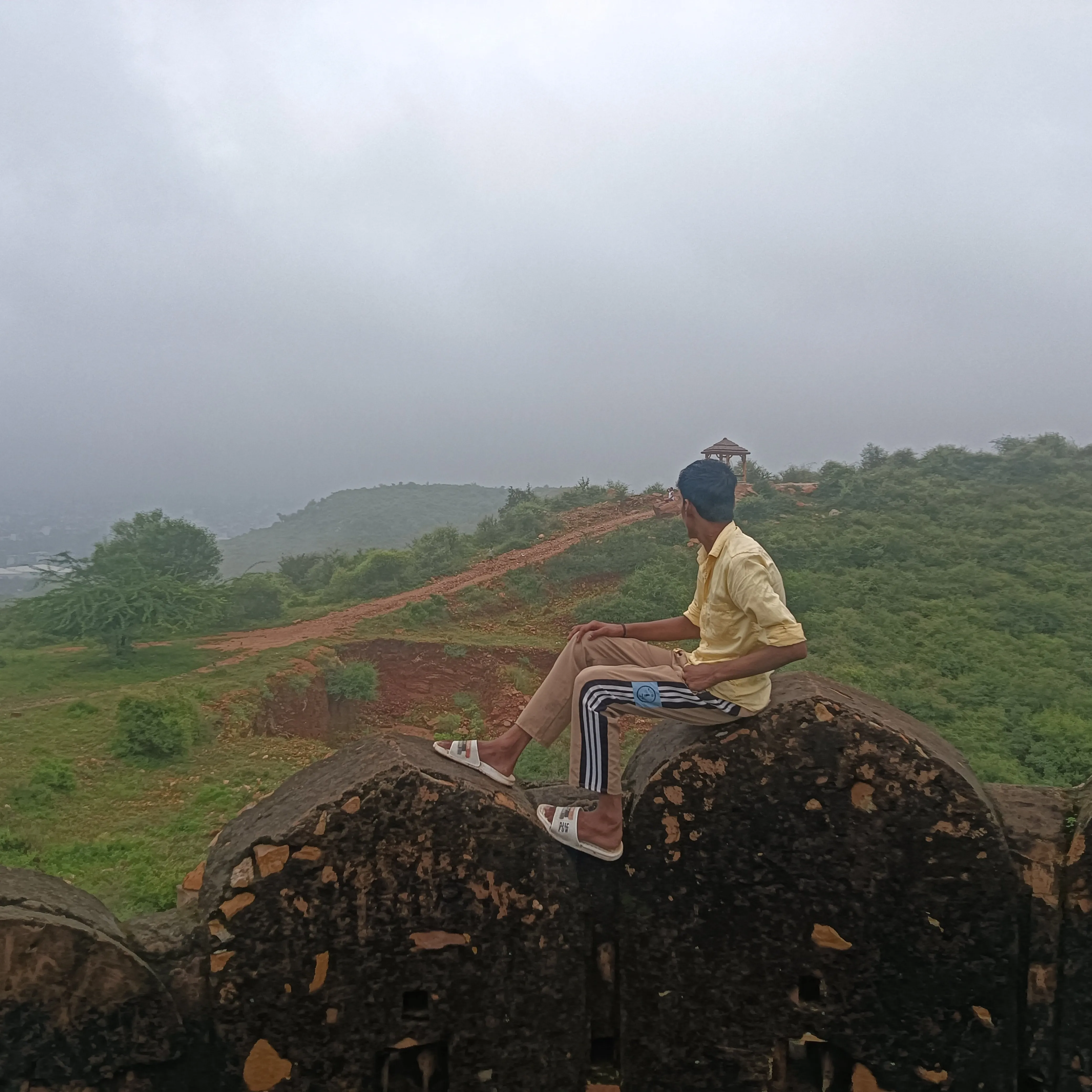 Anshu Papatwan