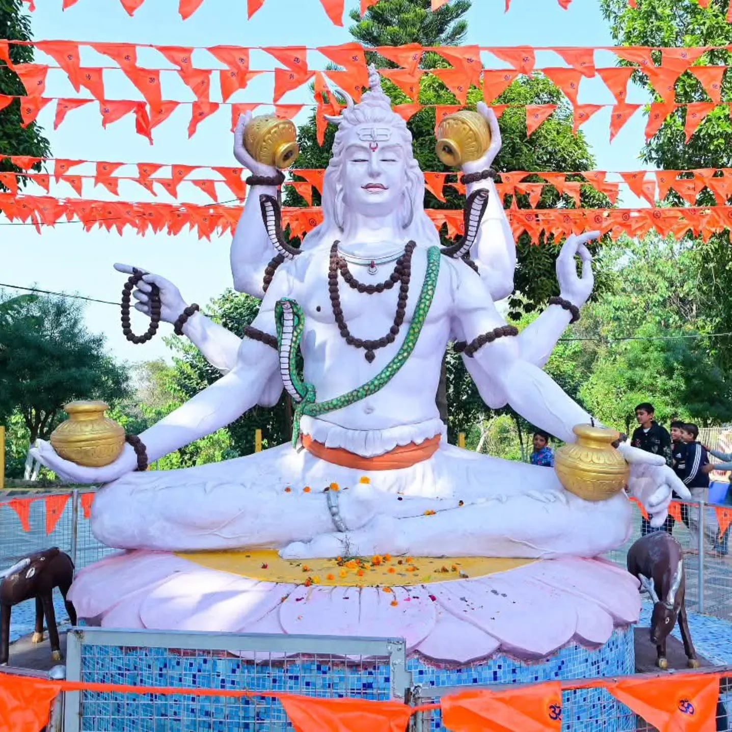 Sevendra Yadav