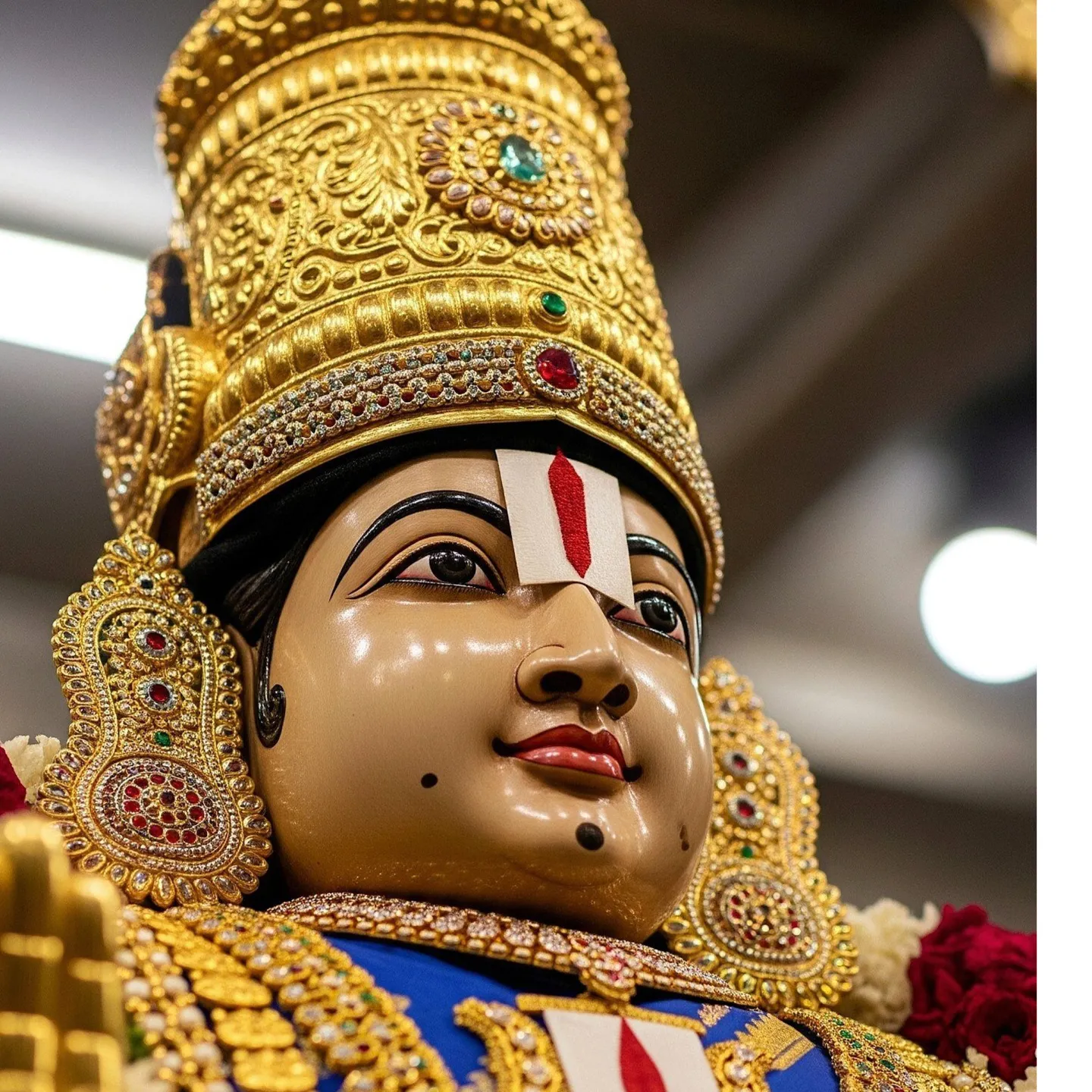 vasudeva Reddy