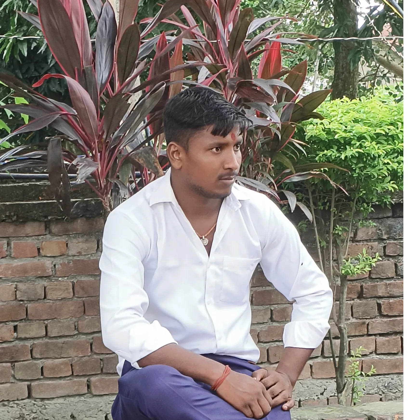 Vikash Kumar