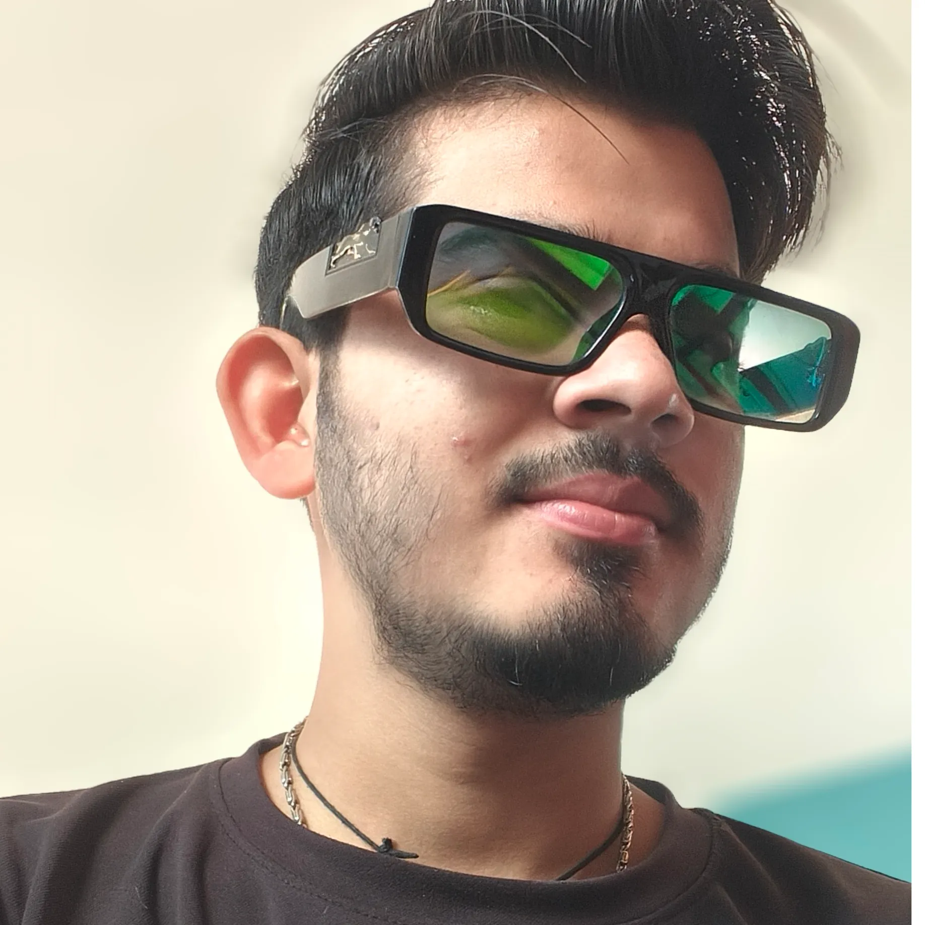 Dipanshu Pal