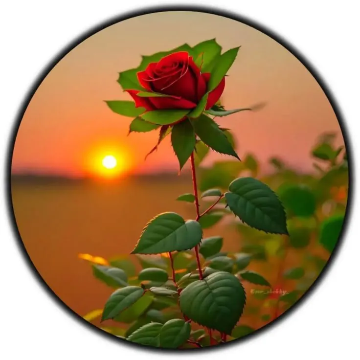 Ravi Nishad