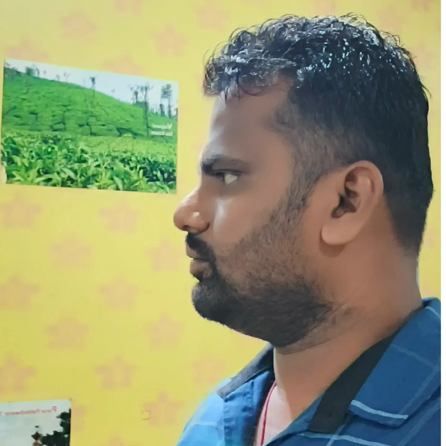 milan mohanty