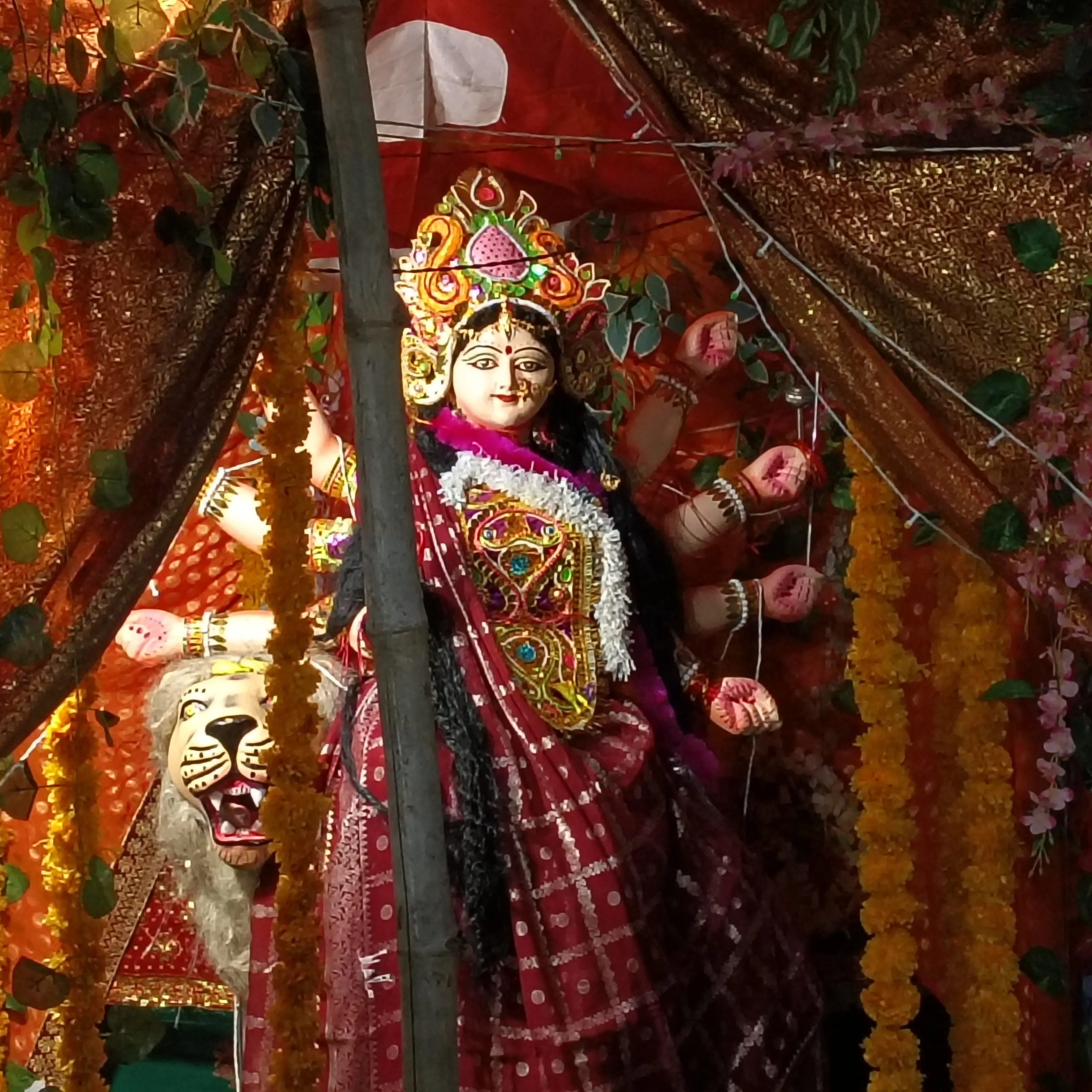 Krishna Dwivedi