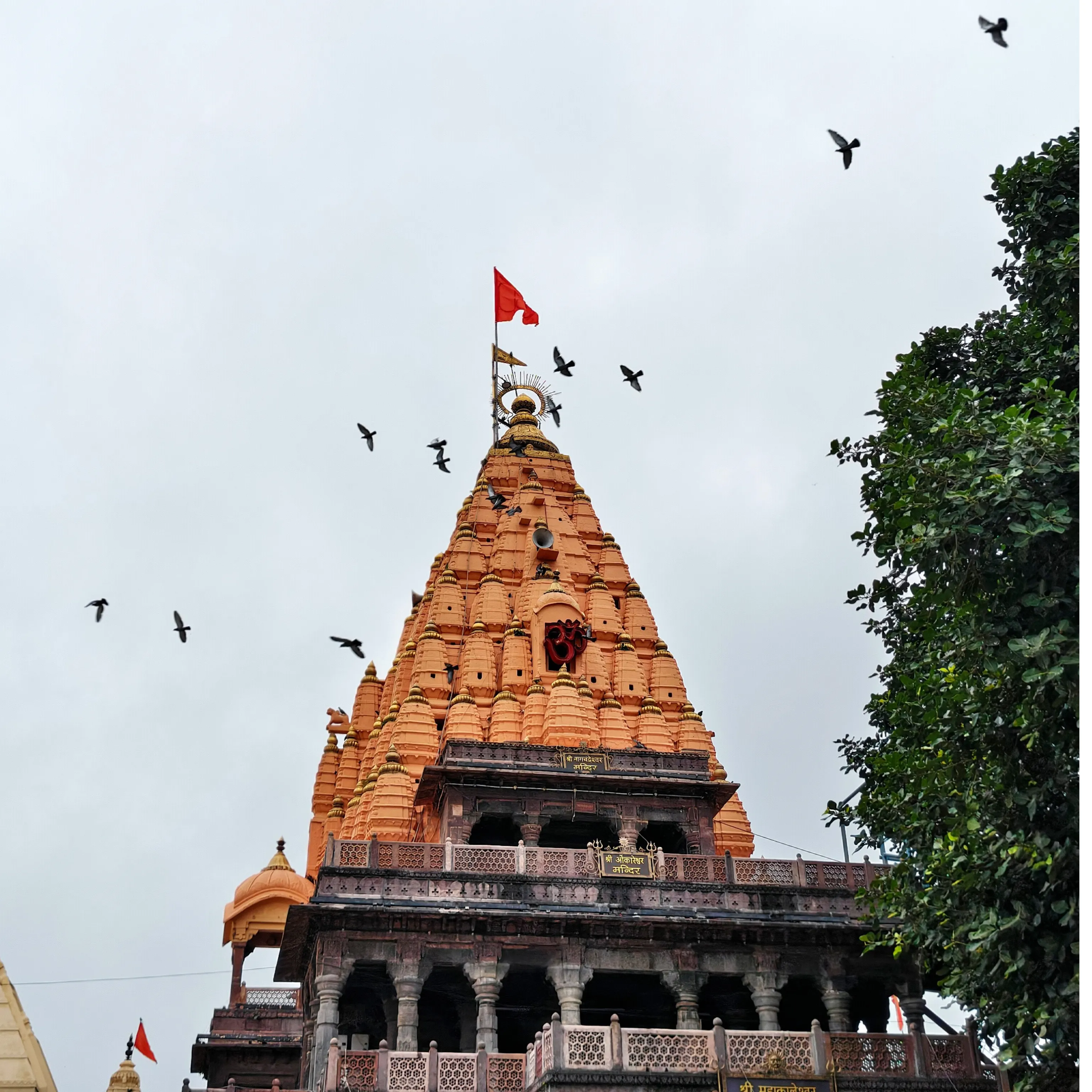 जय महाकाल🔱