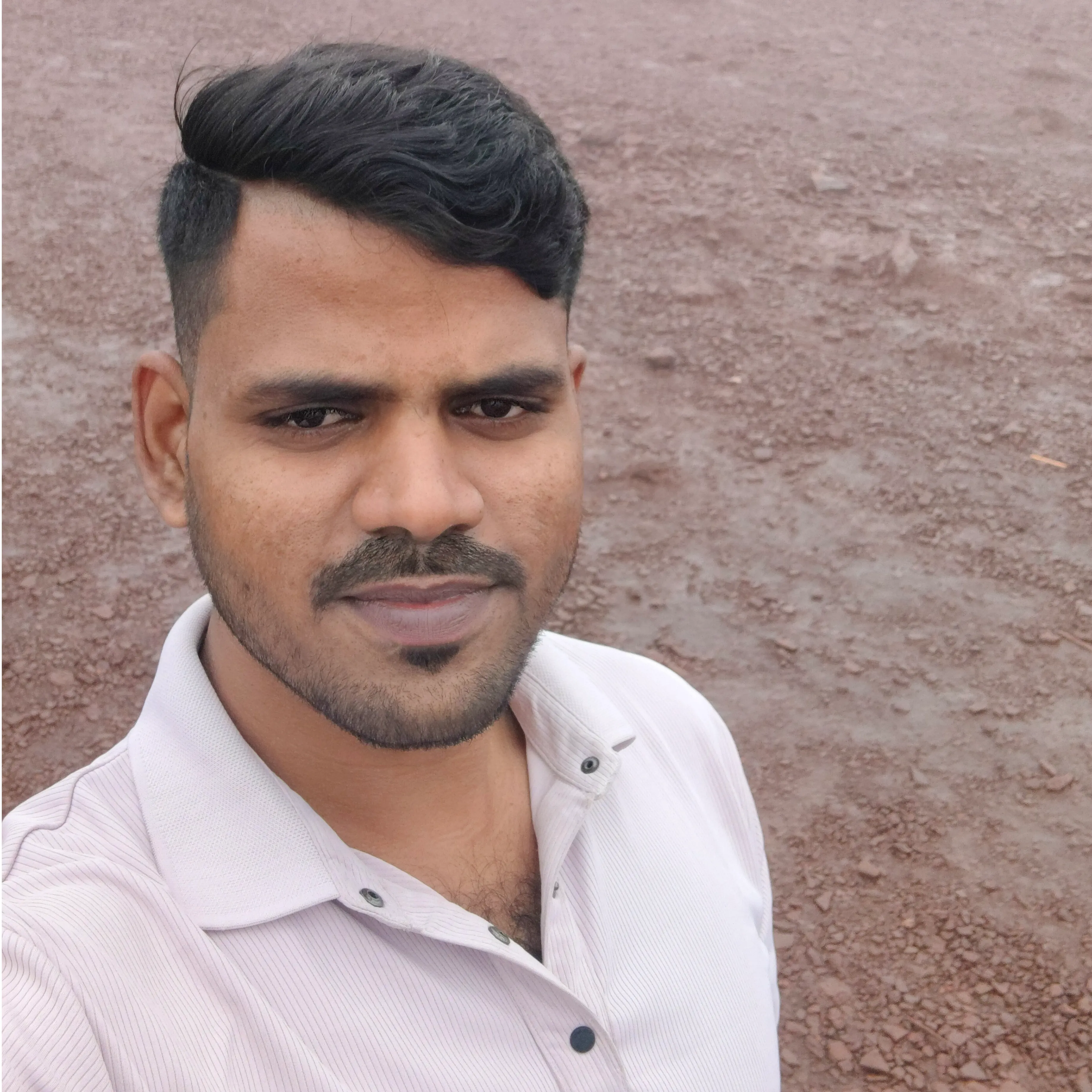 pavi d