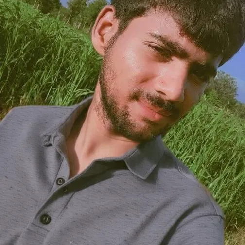 Mahaveer Meena