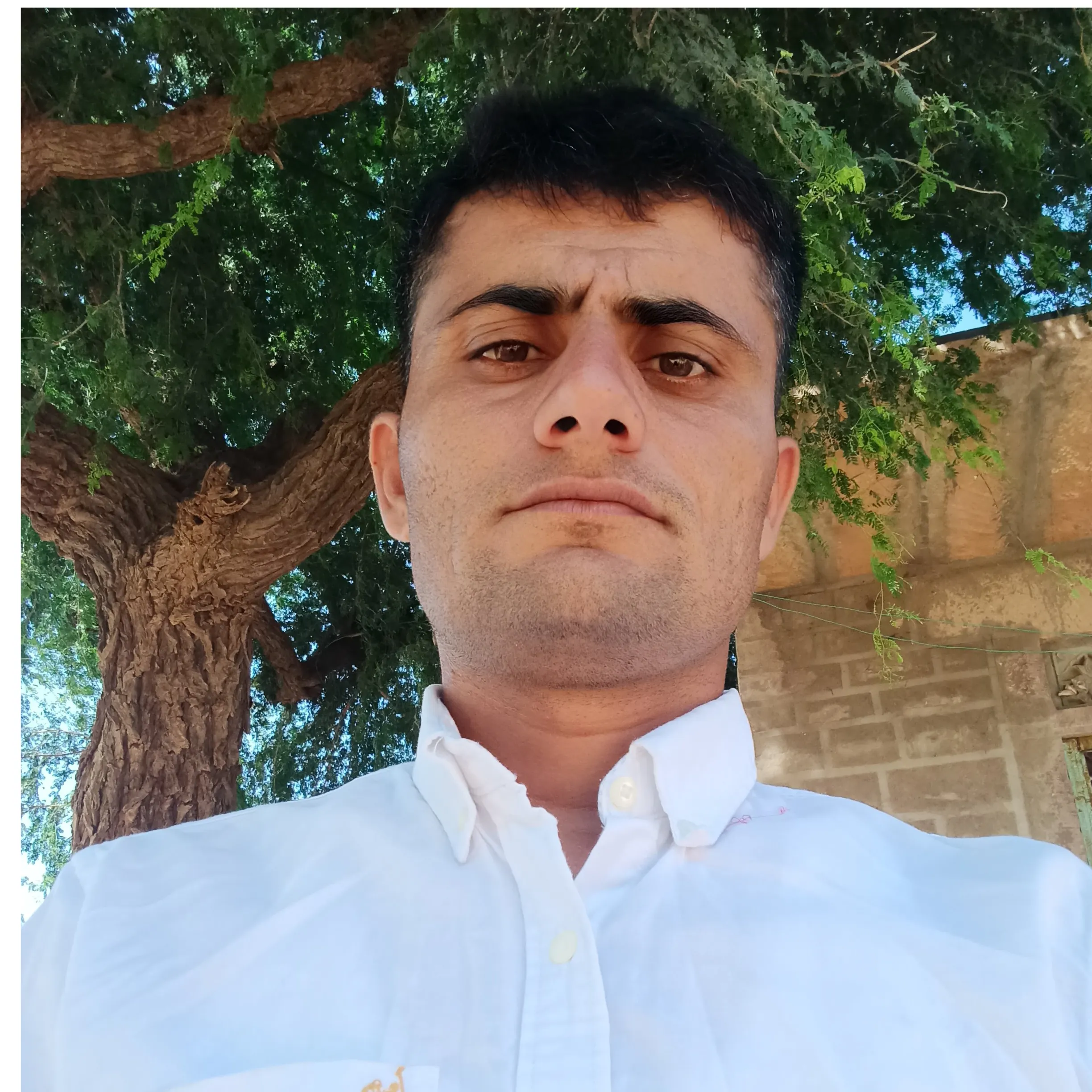 Rampal Bhari