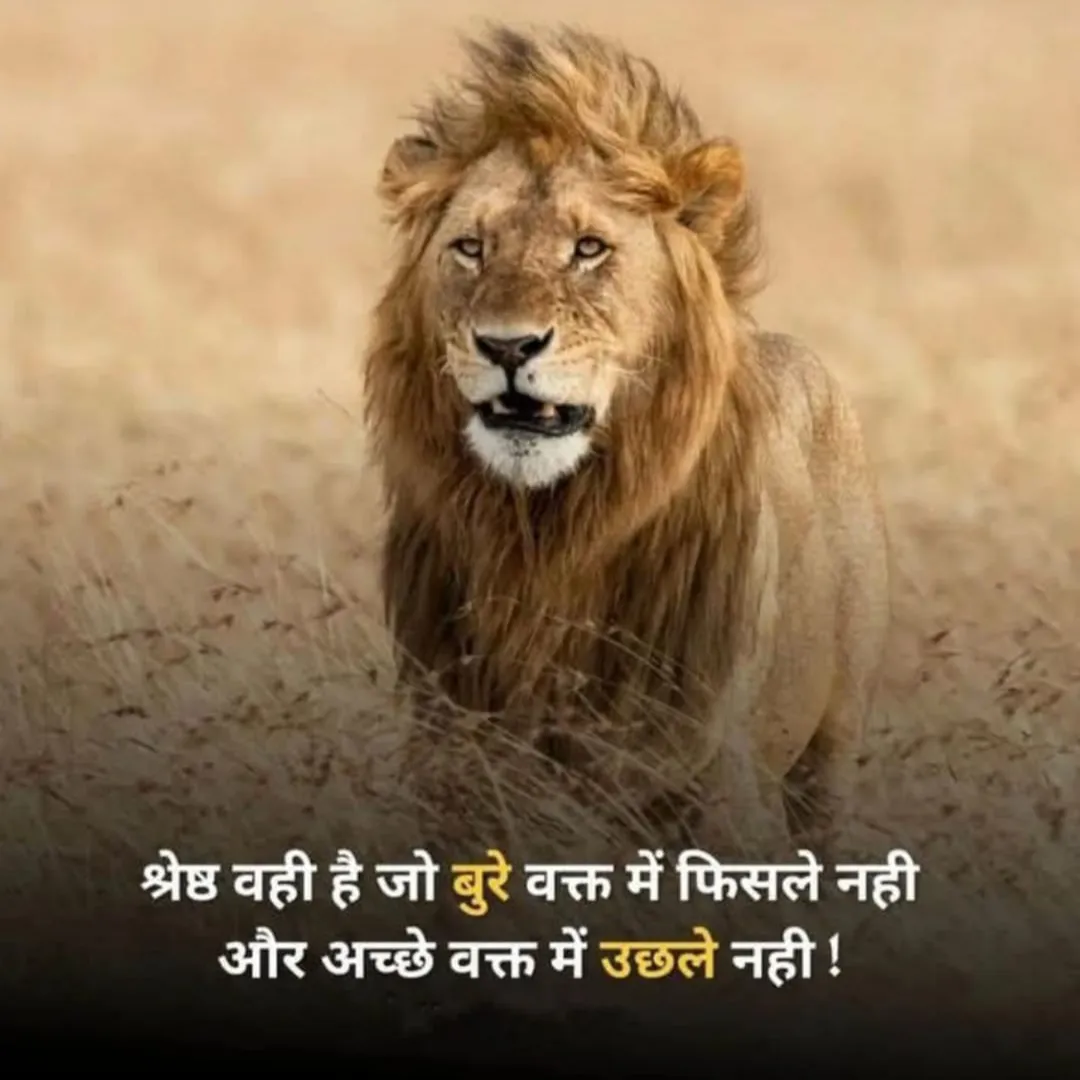 Anil Ahirwar