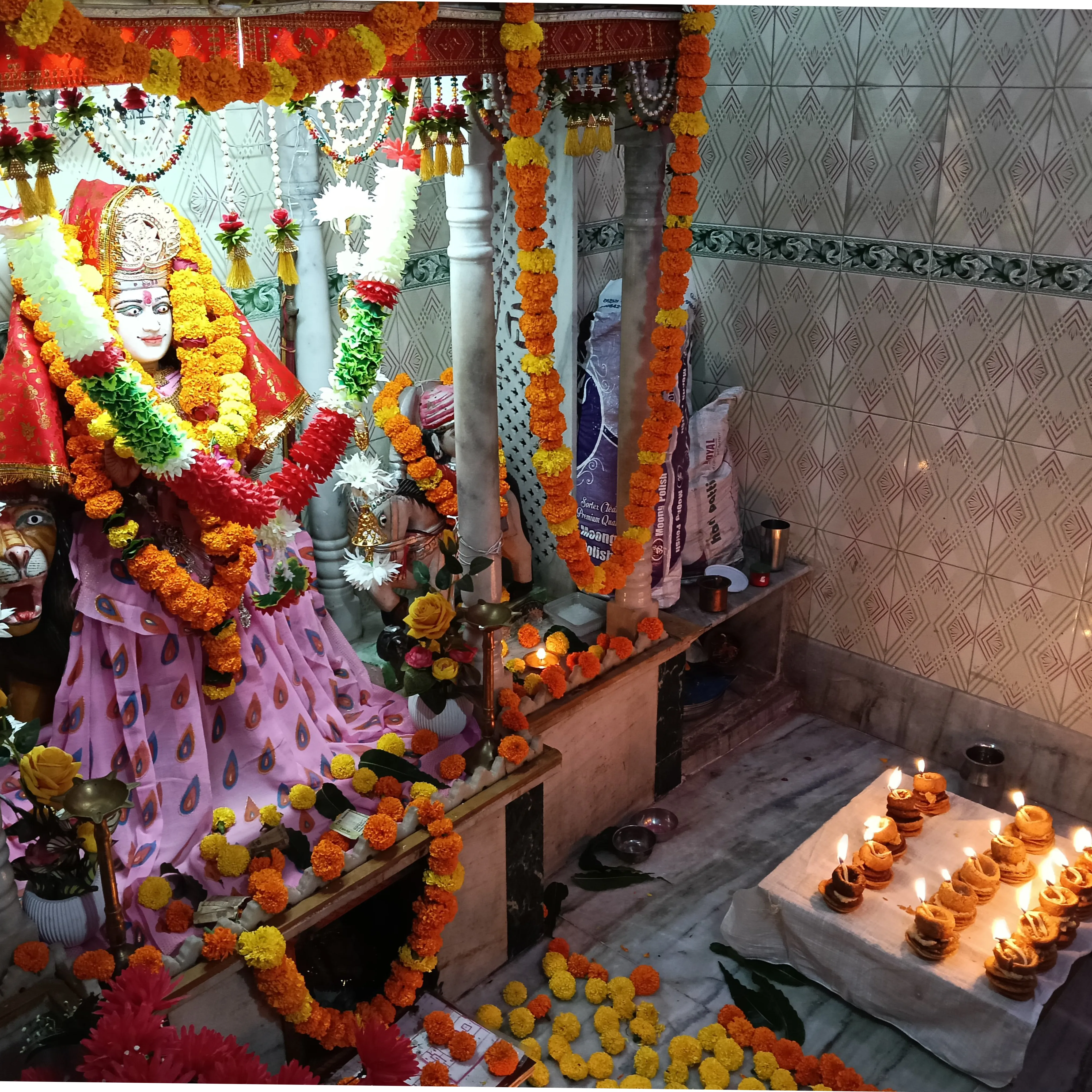 suman prajapati