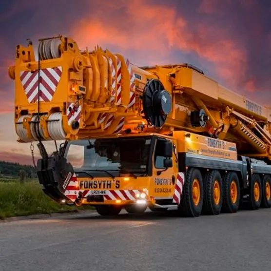 Crane lover❤️💖