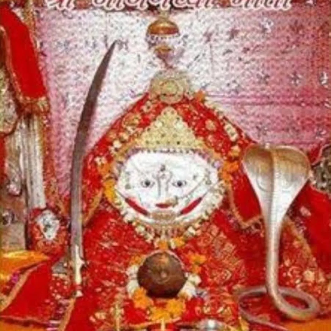 KING OF RABARI