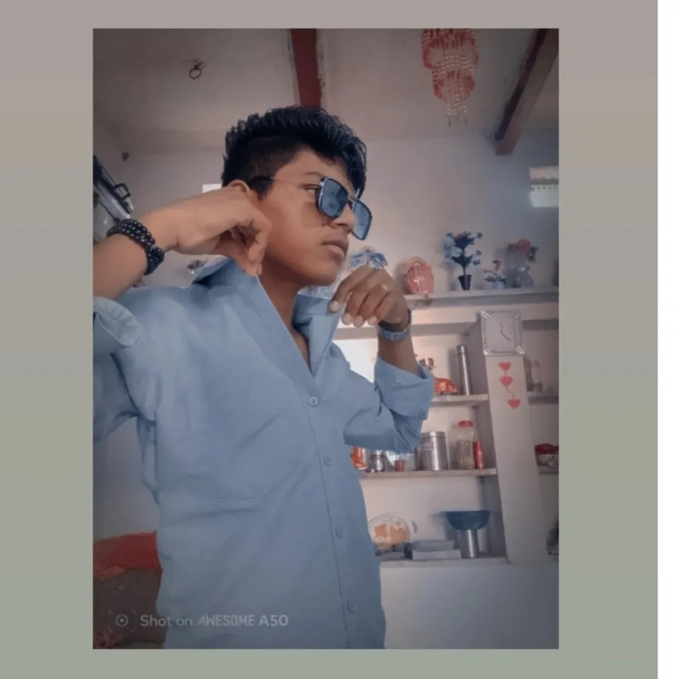 ankit meena