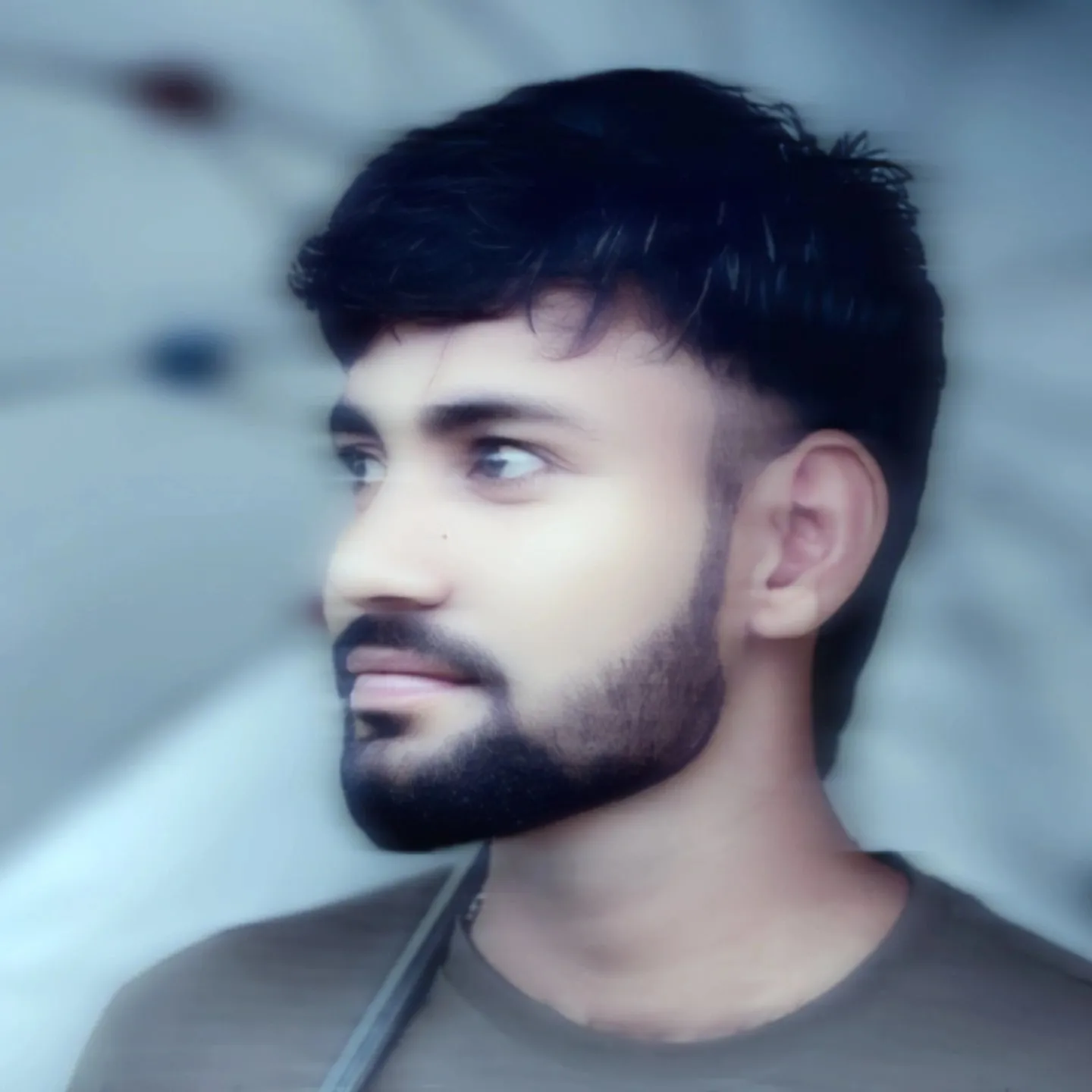 Shailesh arya