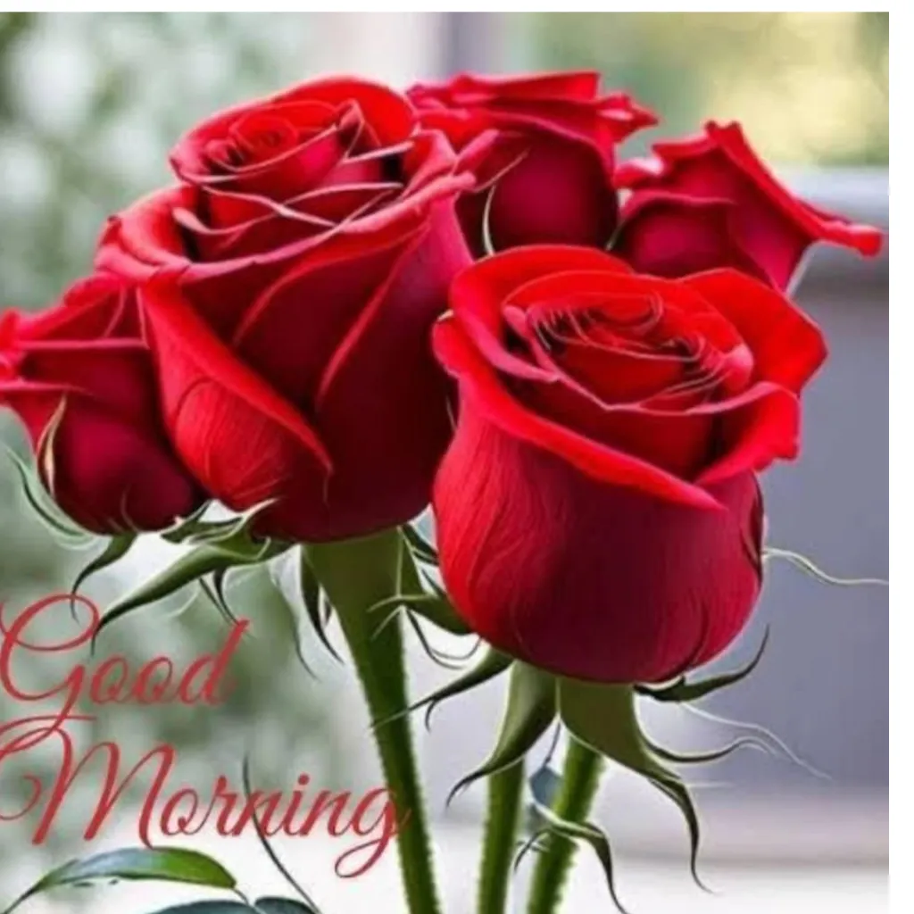 Sandeep officials