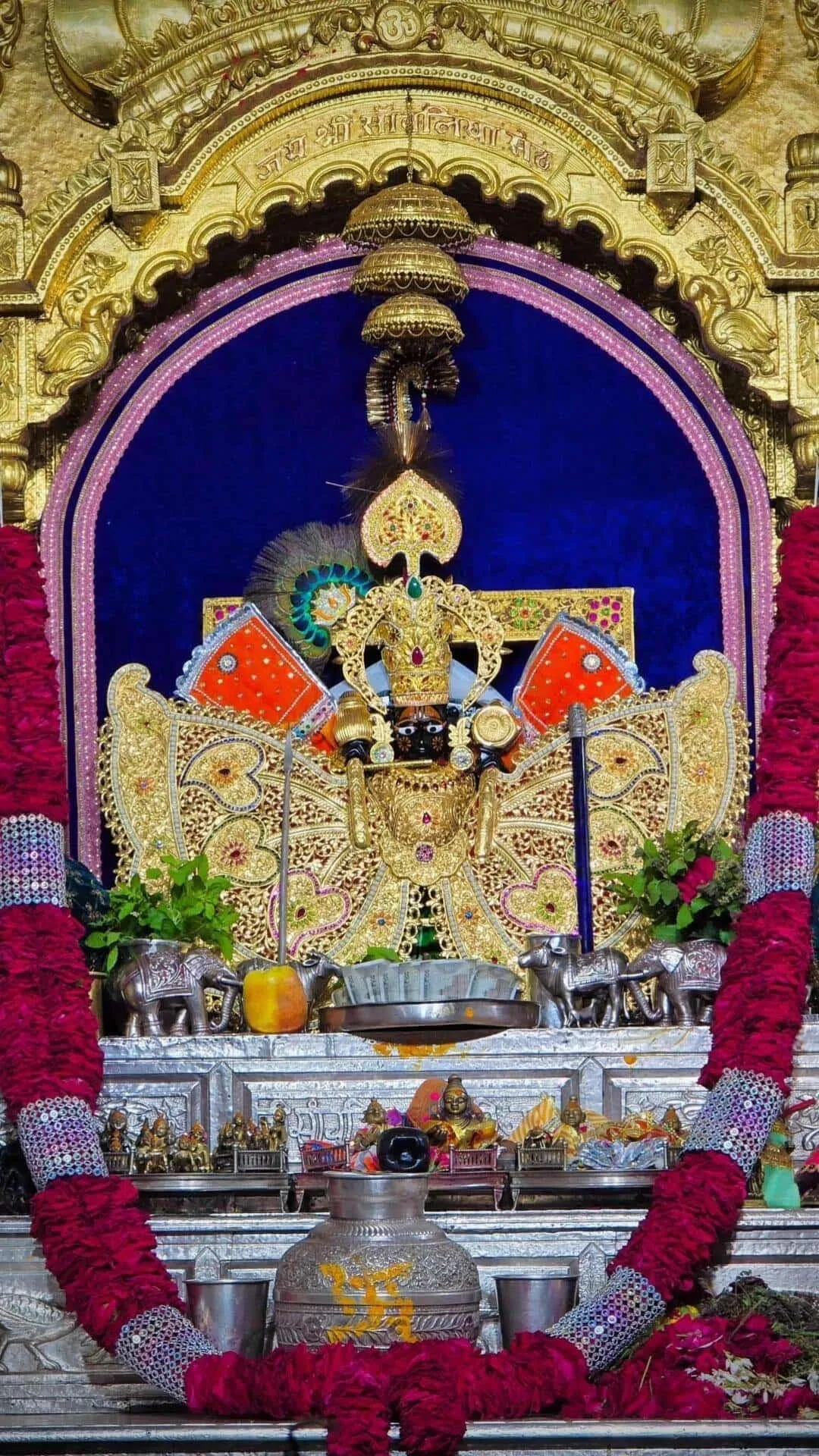 Bharat sadh
