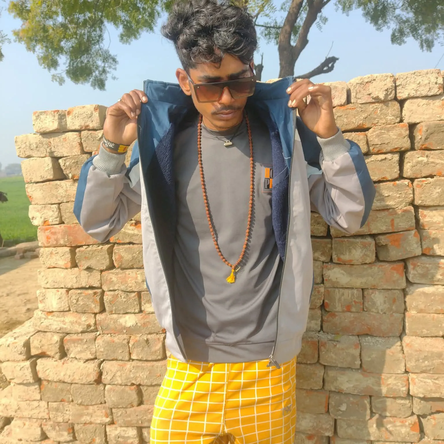 vijay pal