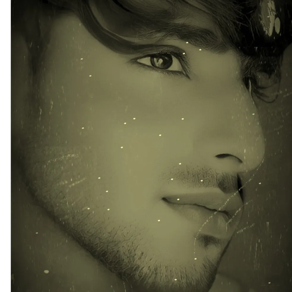 usman Sehzan aly