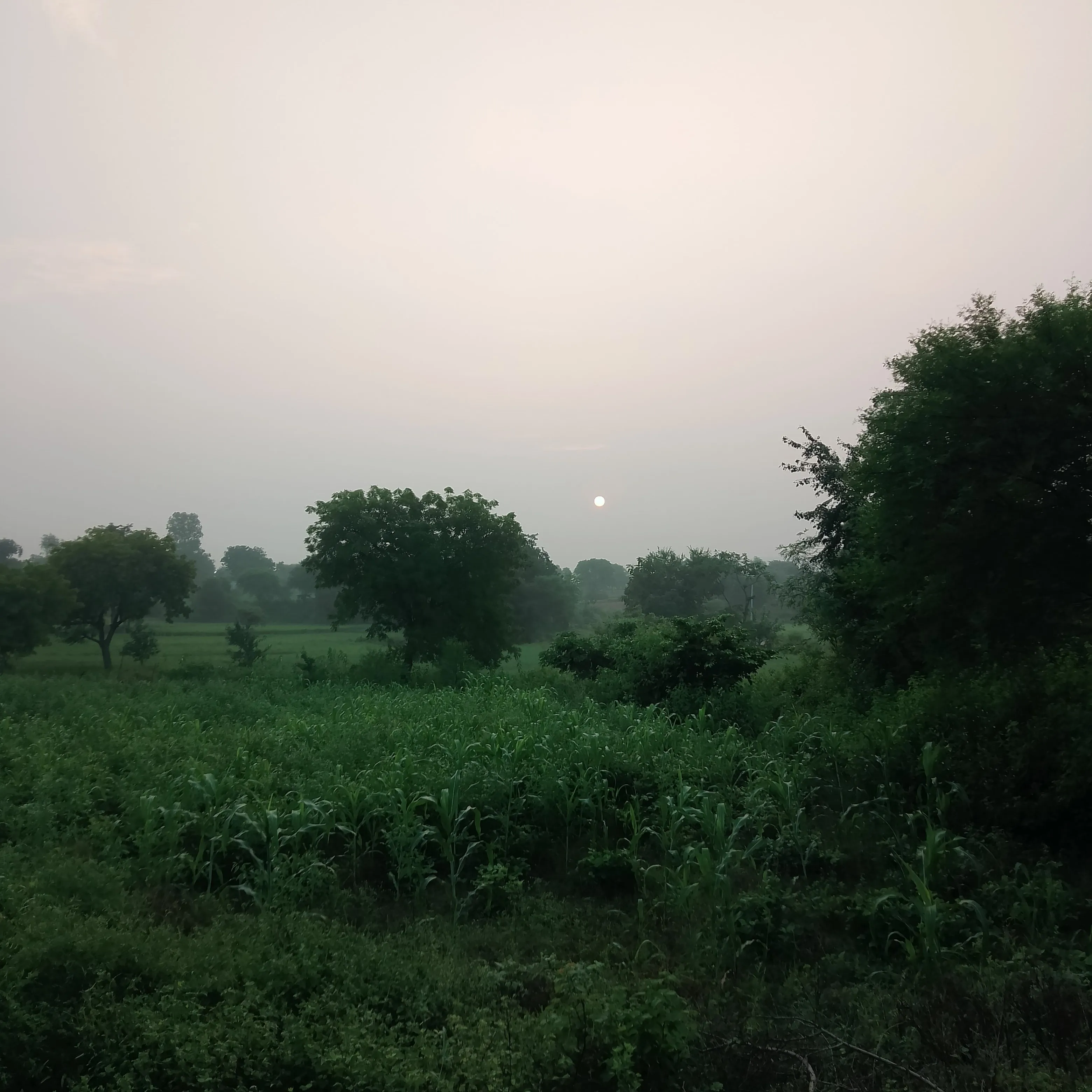 Amit Yadav