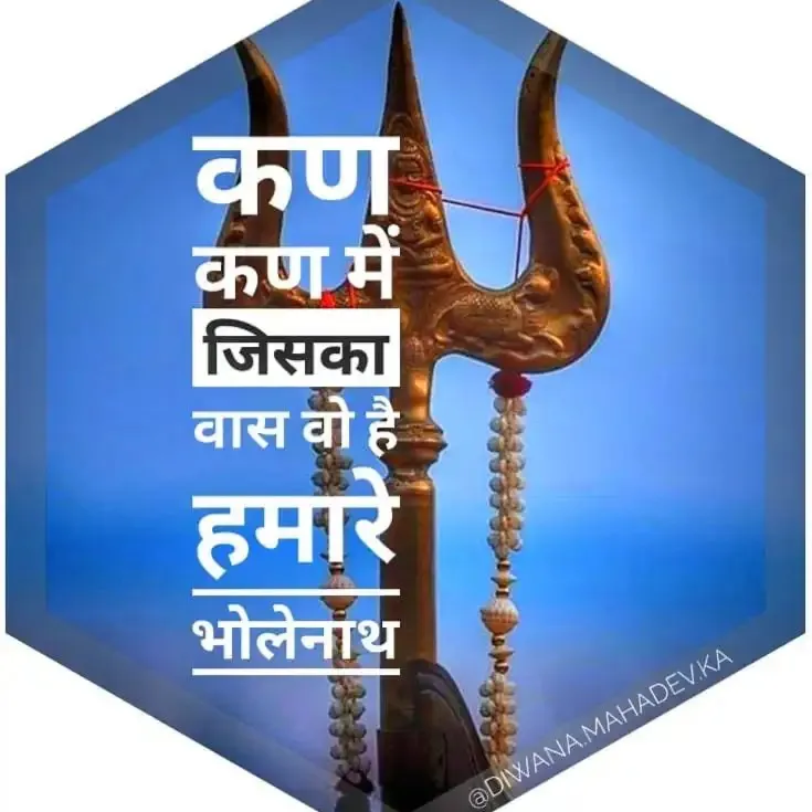 shahil Tk